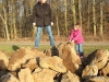 comp_030208-4.jpg