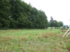 grundstueck_090807.jpg