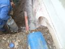comp_150408-1a.jpg